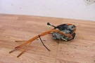 2003 Yamaha Carburetor /. Fixed Price $329.00.