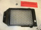 1985 Kawasaki Vulcan Oem VN700 VN750 Radiator Guard Grill Cover 14037-1066. Fixed Price $24.00.