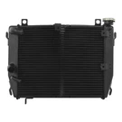 Engine Radiator Cooler Cooling Fit For Aprilia RS660 Tuono 2021-2025. Fixed Price $109.99.