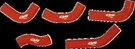 CV4 Performance Silicone Radiator Hose Kit Red 5PC Honda XR650R 00-08. Fixed Price $190.07.