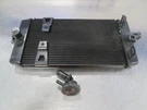 EB880 2017 Triumph Bonneville 900 T100 Black Radiator And Coolant Cap. Fixed Price $259.99.