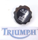 Triumph Daytona 955I Radiator Pad As Shown 2005. Fixed Price $14.44.