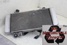 09EX Kawasaki Ninja 250R Oem Engine Radiator Motor Cooler Fan Attached D2D. Fixed Price $19.50.