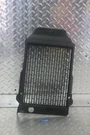 2004 Kawasaki Vulcan VN750A Radiator Grill Shield Guard Cover 14037-1066. Fixed Price $29.95.
