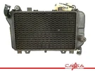 Radiator Kawasaki Zzzr 1993-2002 (ZZ-R600 ZX-6E ZX600E) 1995 1220002041. Fixed Price $104.68.