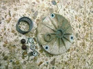 Suzuki GS250T 450 550 650 750 850 1100 Oem Oil Filter Cap + Hardware 16512-45101. Fixed Price $25.49.